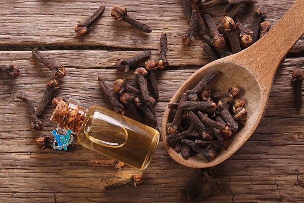 ما فوائد القرنفل للصدر 1  ما فوائد القرنفل للصدر